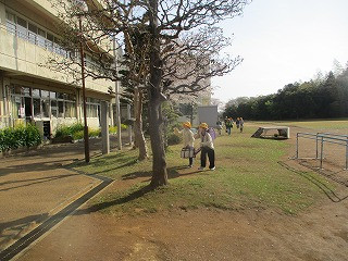 １５