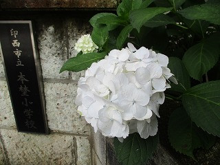 IMG_7651