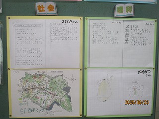 3-6