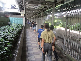 １市川P