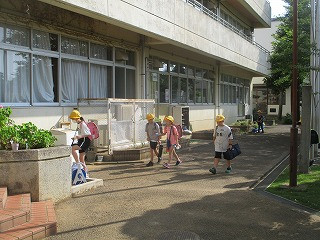 ７