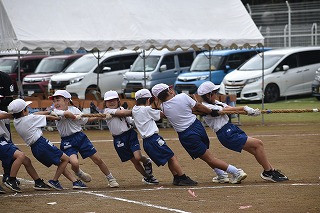 11-8