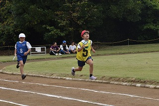 15-15
